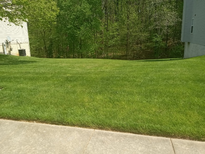 Maintained outdoor property